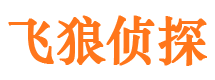 芦淞私人侦探